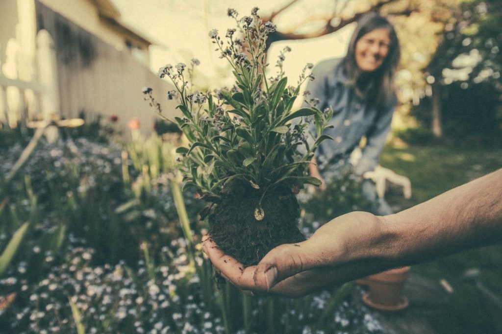 gardening-service